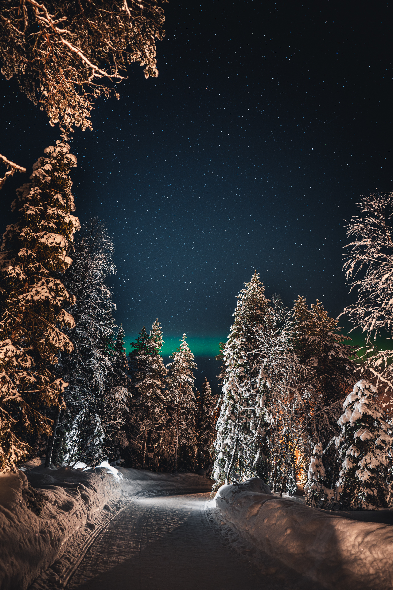 Nordlichter