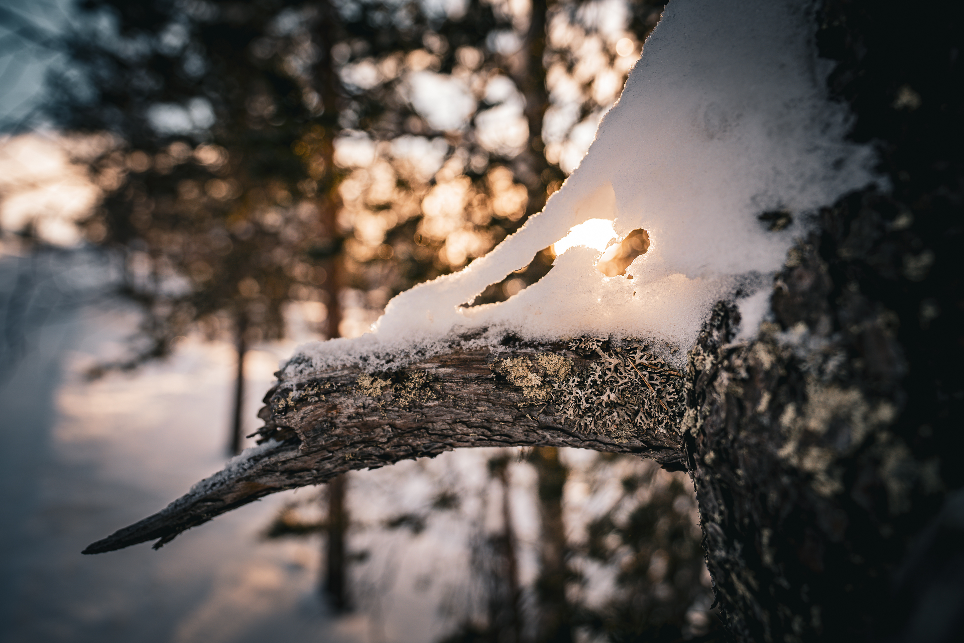 Finnland