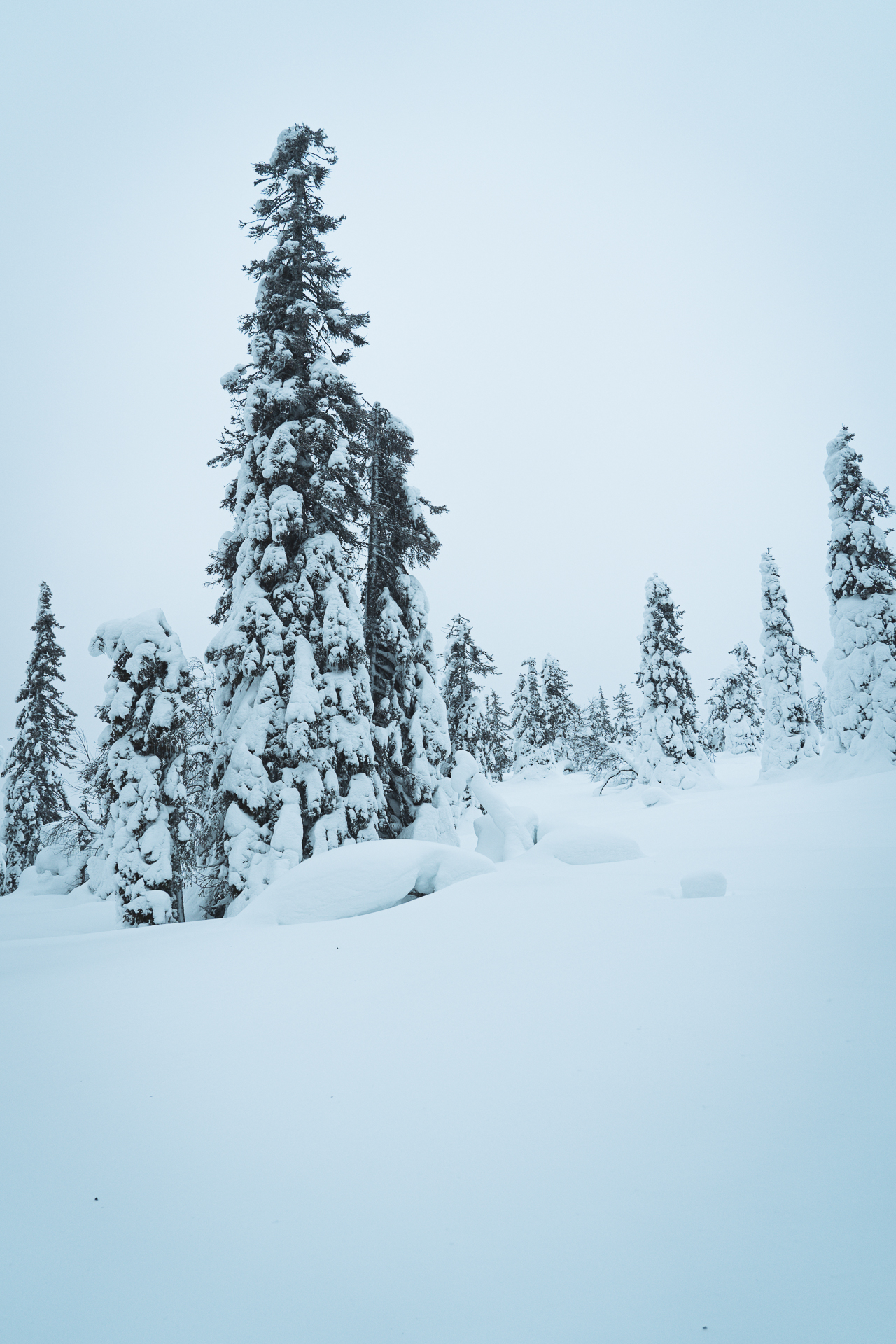 Finnland