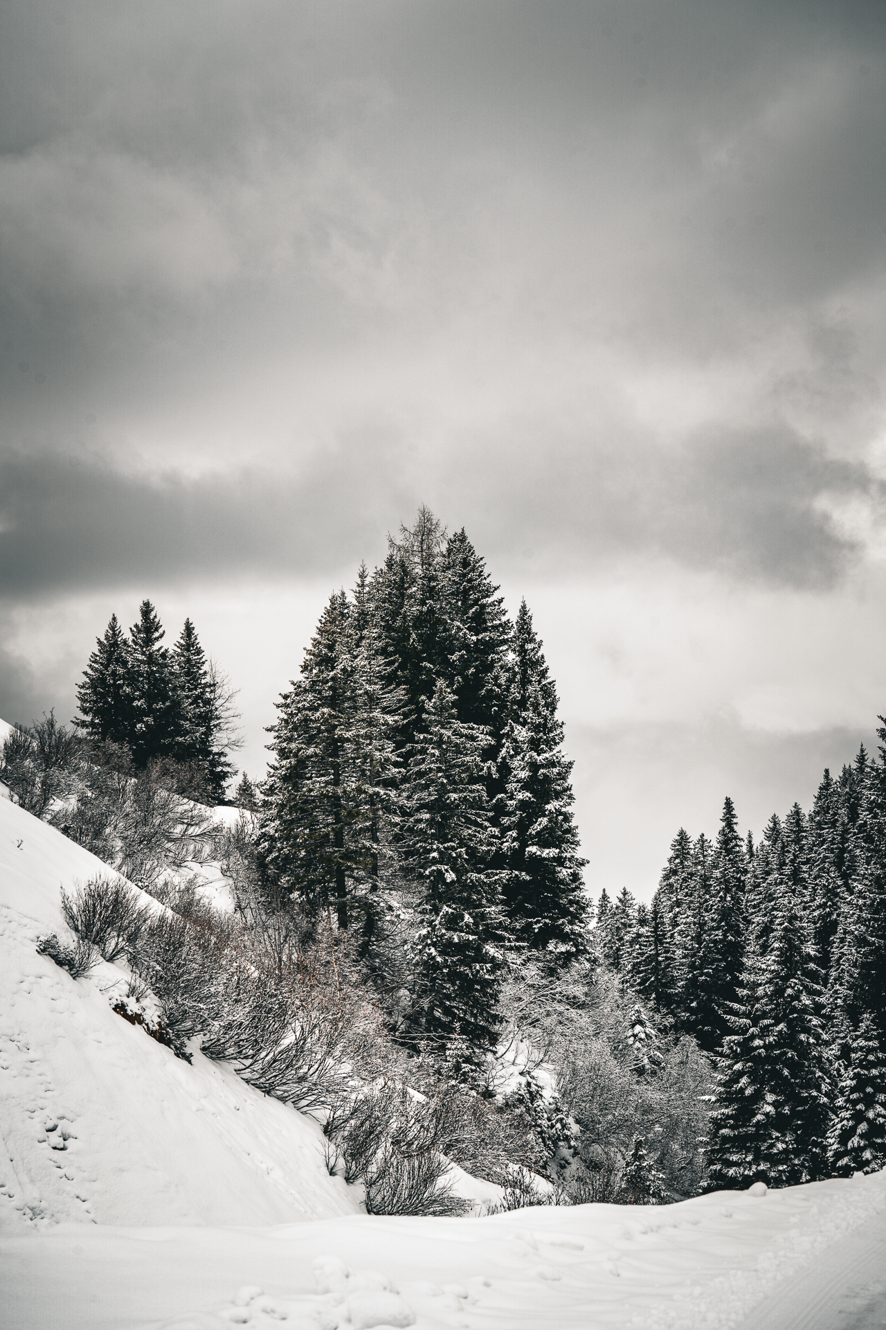 Meiringen